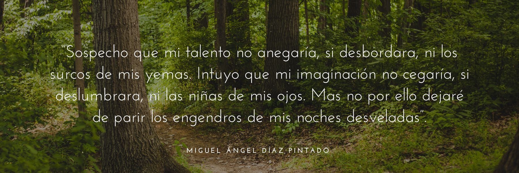 Miguel Ángel Díaz Pintado